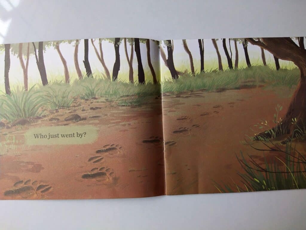 Whose tracks are these?