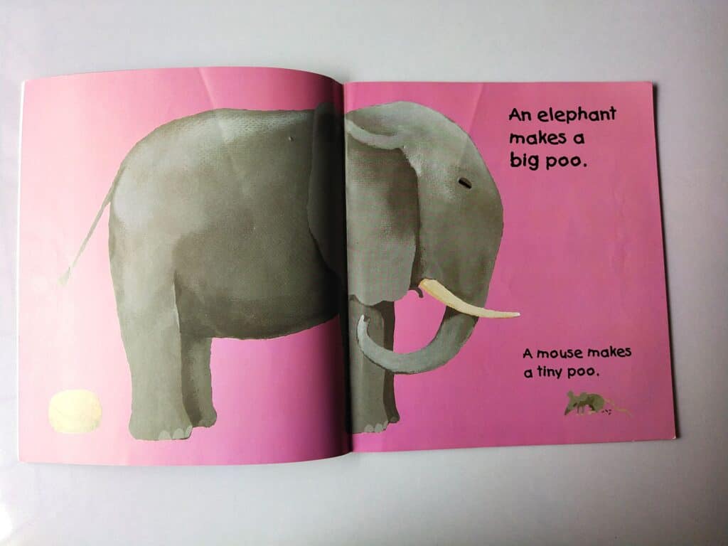 Elephant poo