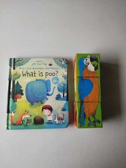 REVIEW: What Is Poo? By Katie Daynes