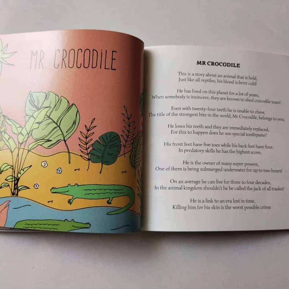 A short description of Crocodile