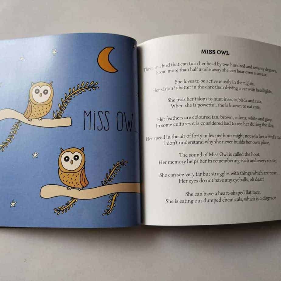 Meet a nocturnal little owl