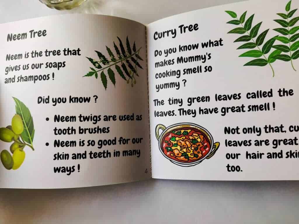 Facts about Neem tree and curry tree