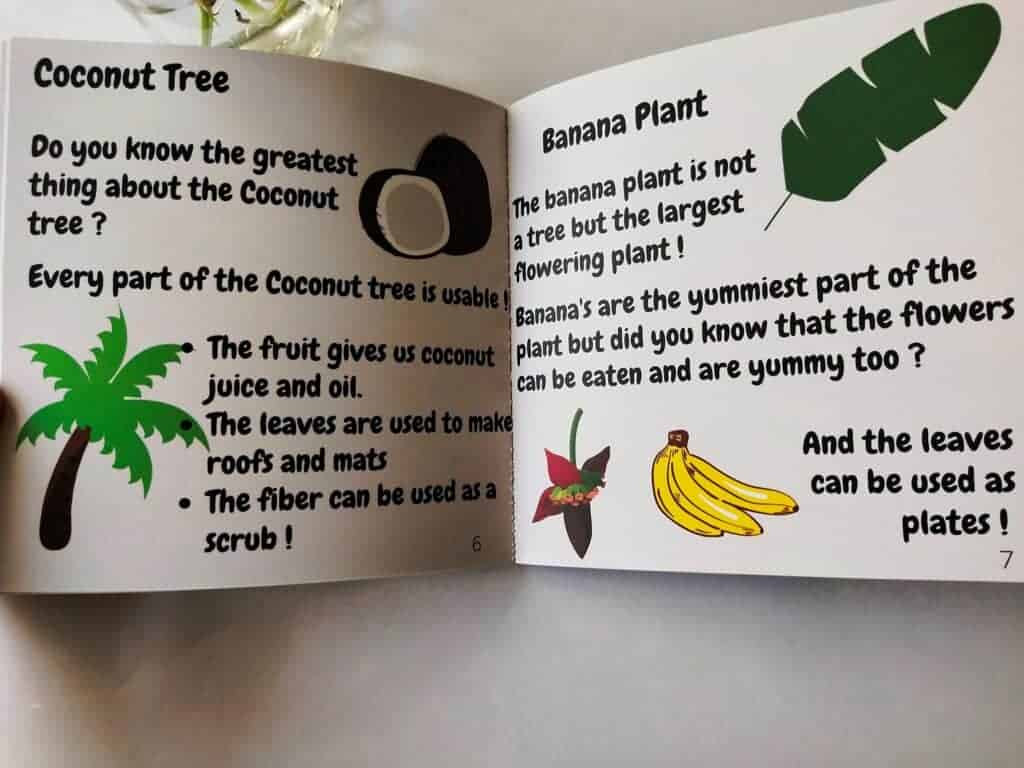 Description of coconut tree and banana plant