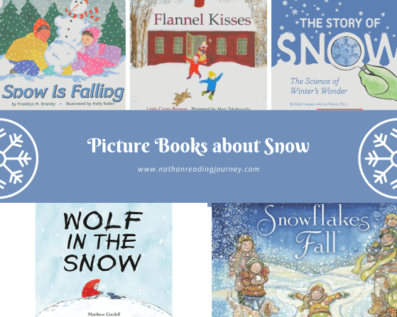 picture book about snow