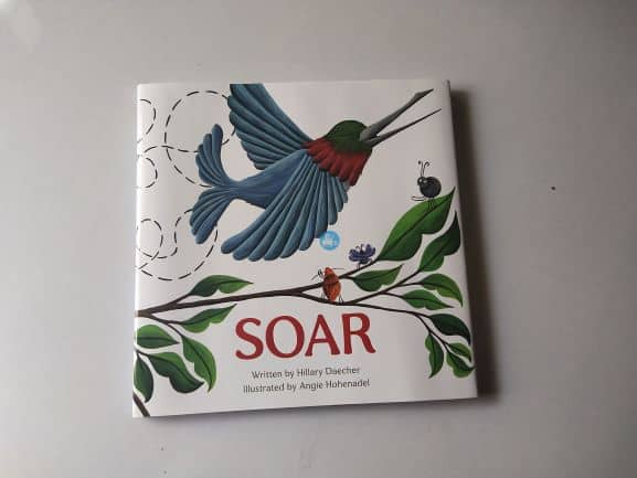 Review: SOAR By Hillary Daecher