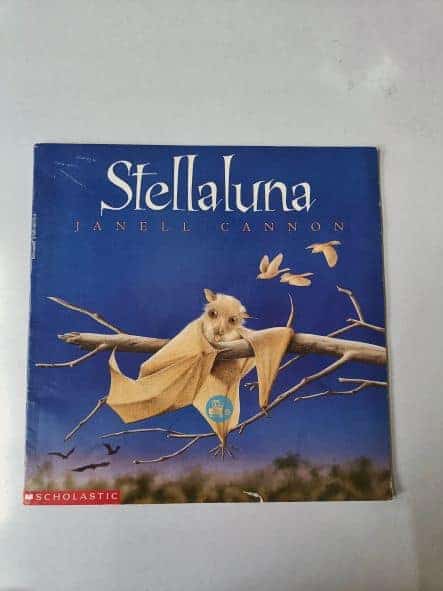 REVIEW: Stellaluna By janell Cannon